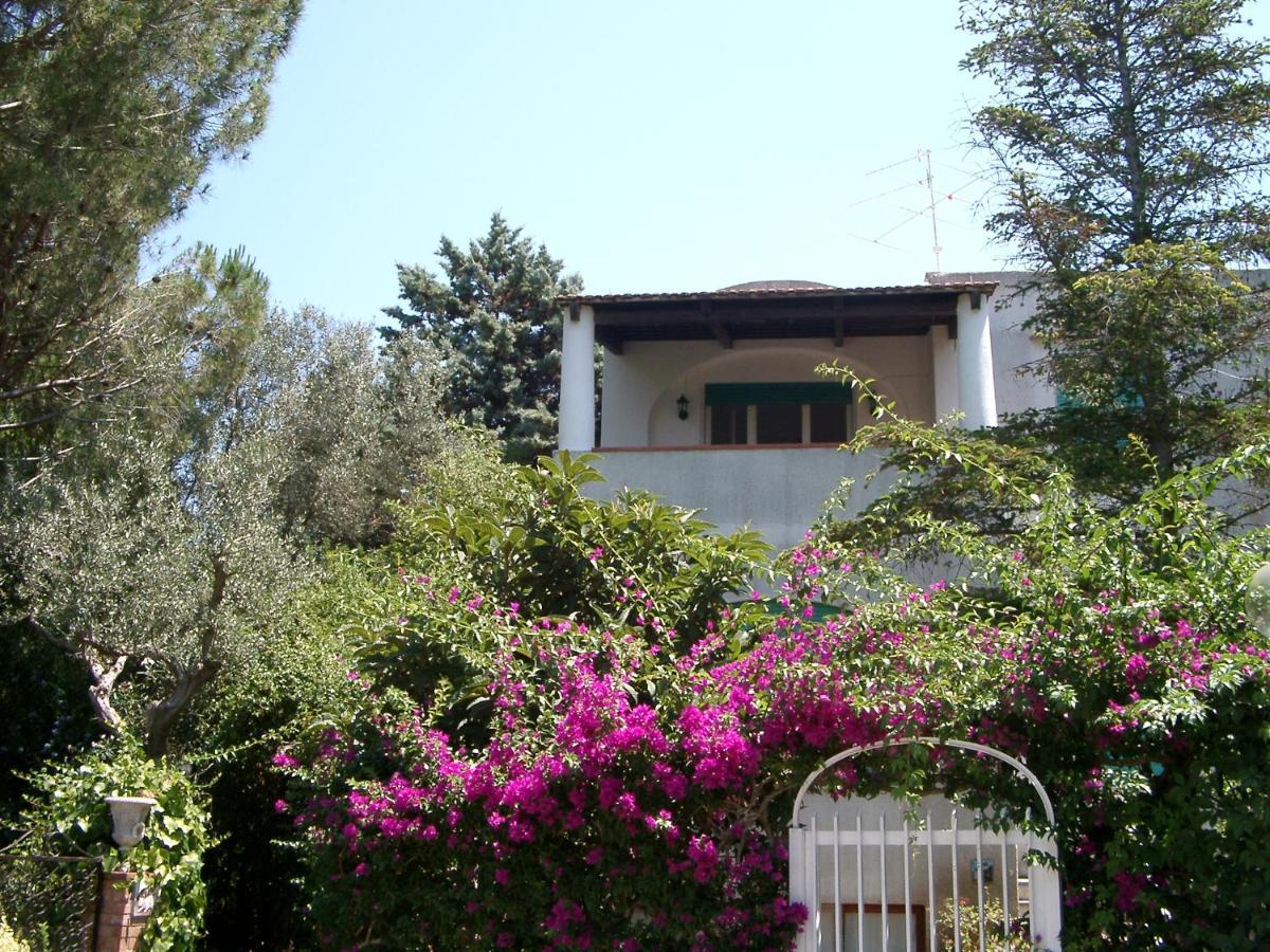 Villa Matisse - Damecuta Park Anacapri  Exterior photo